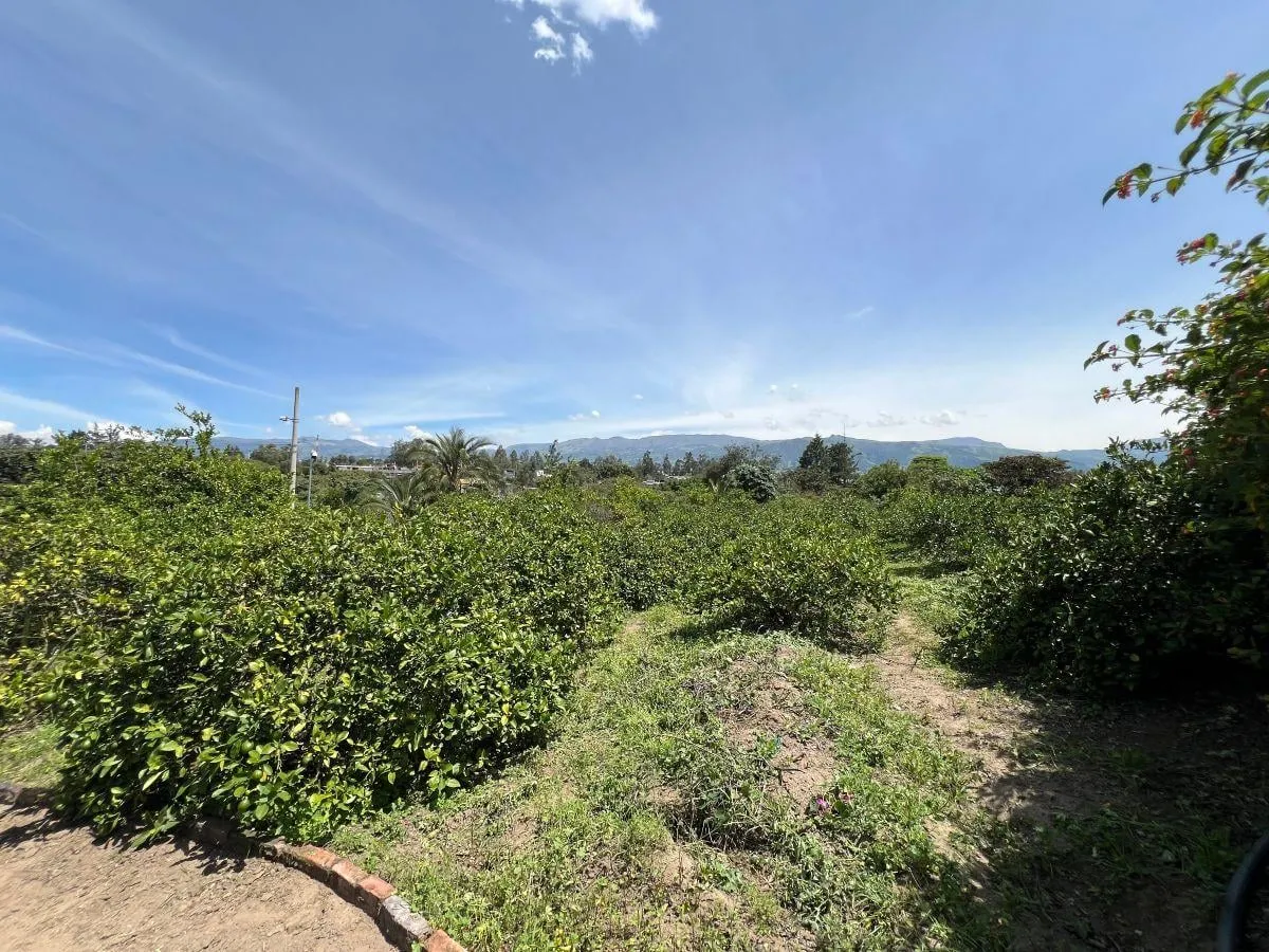 Terreno en venta en Puembo (por la Ruta Collas), Quito — foto 8 de 17