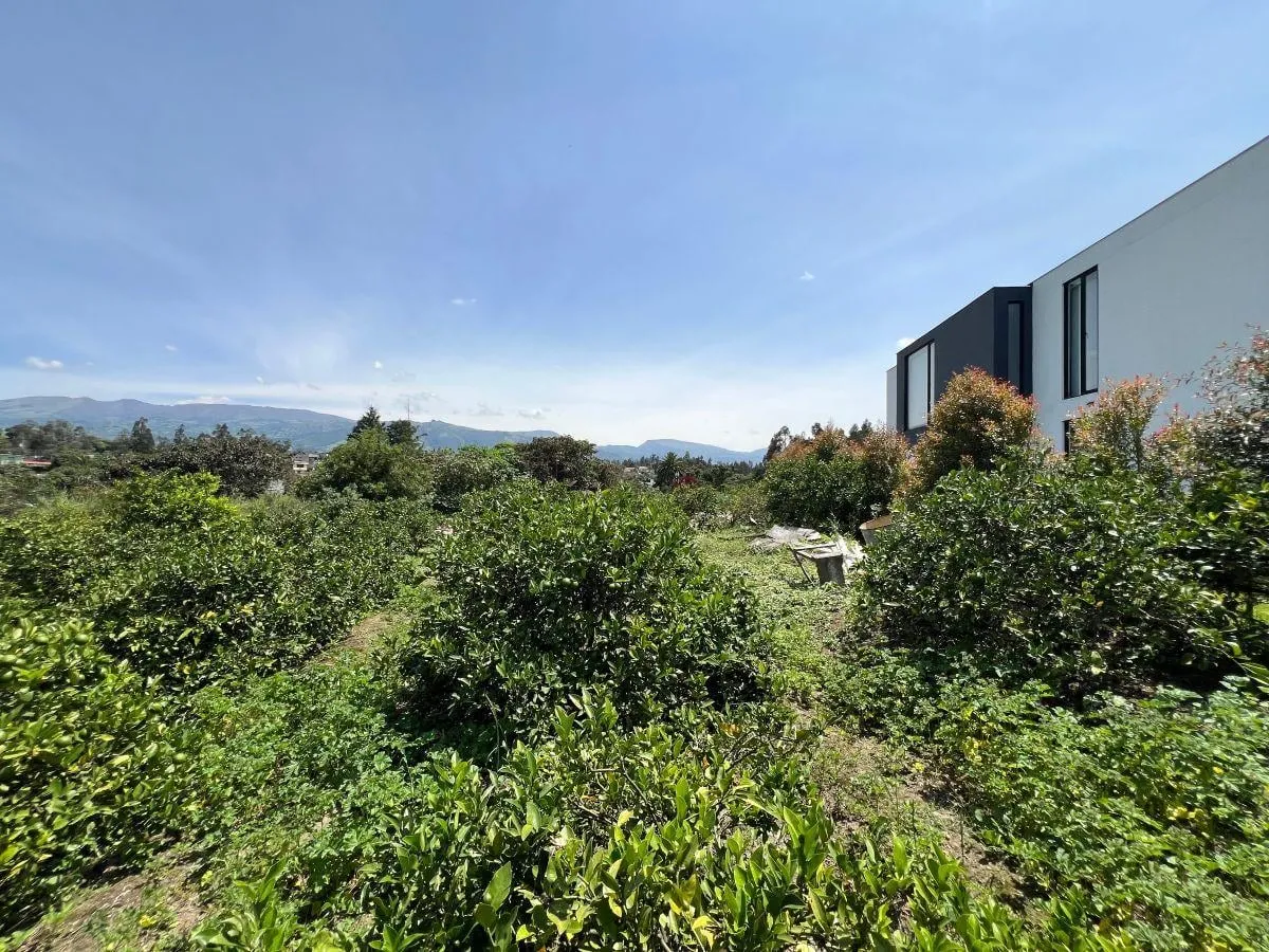Terreno en venta en Puembo (por la Ruta Collas), Quito — foto 10 de 17