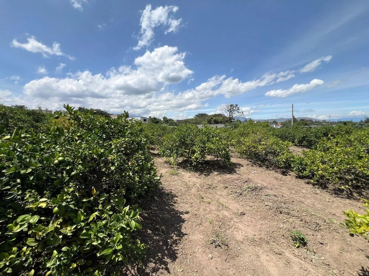 Terreno en venta en Puembo (por la Ruta Collas), Quito — foto 7 de 17