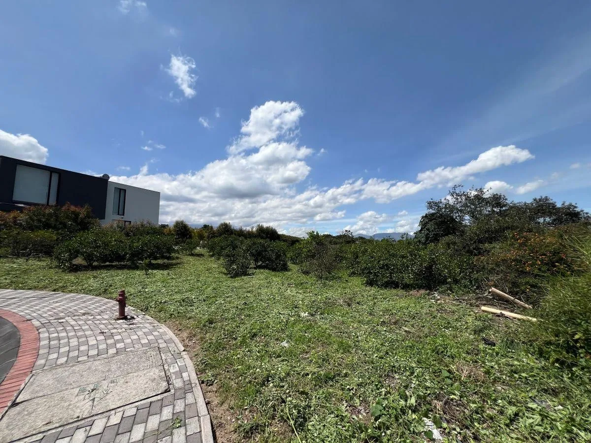 Terreno en venta en Puembo (por la Ruta Collas), Quito — foto 13 de 17