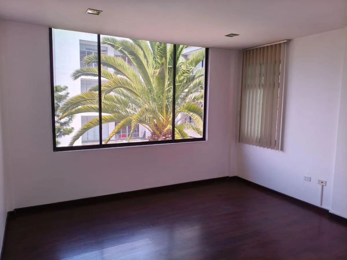 Comercial en alquiler en La Carolina, Quito — foto 23 de 30