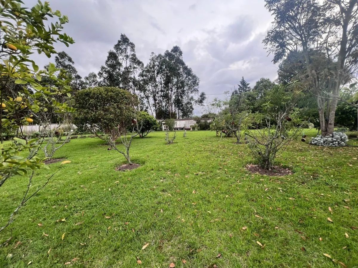 Terreno en venta en Puembo, Quito — foto 4 de 13